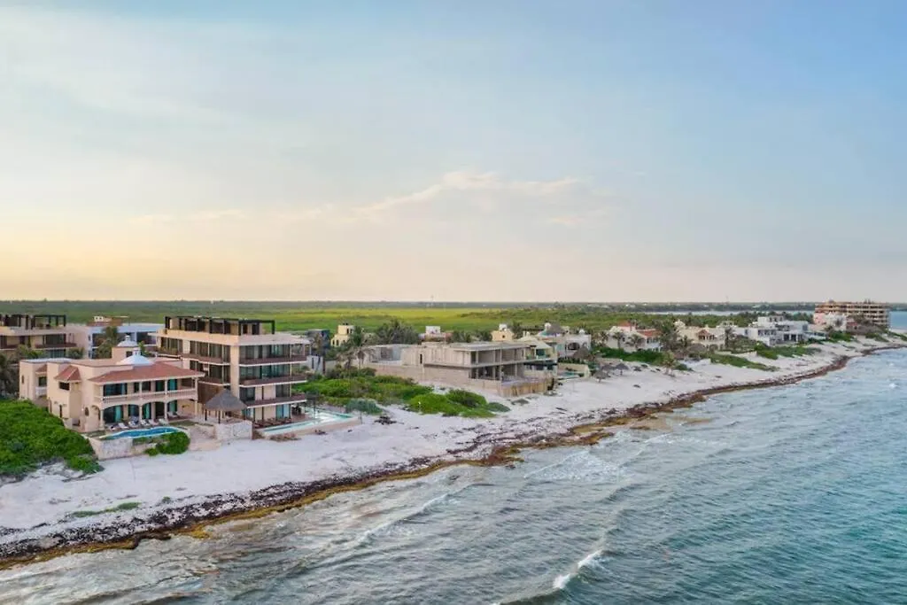شقة Luxury Beachfront Penthouse With Private Pool تولوم